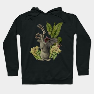 Jackalope Vespertilio Hoodie